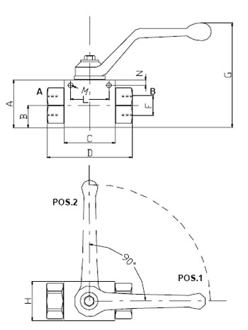  RSAP 2V